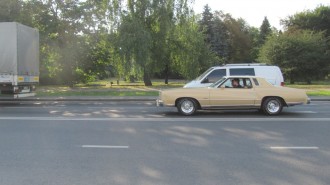 IMG_915f9.jpg