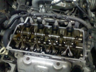 IMG10254.jpg