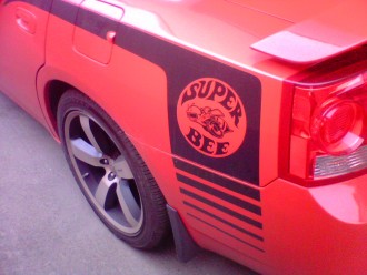 IMG0087A.jpg