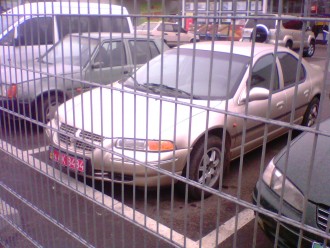 IMG0110A.jpg