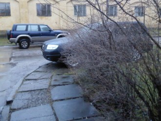 PIC-0132.jpg