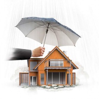 thumbnail (1).jpg