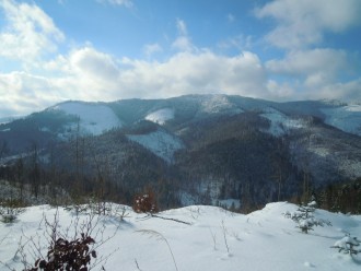 AJG-KwsoYaI.jpg