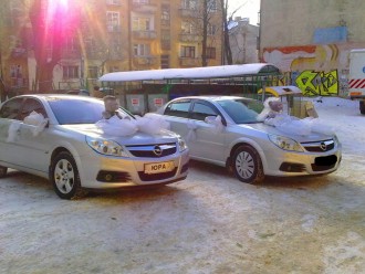 26012013517cvet.jpg