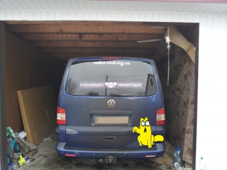 cat yellow bus.jpg