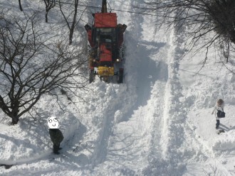 IMG_6929 1.jpg