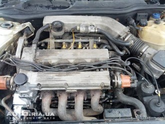 71558960f.jpg