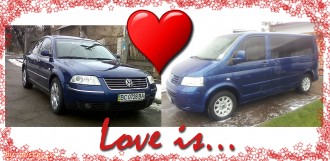 для сімейства жовтих котів))))))))).jpg
