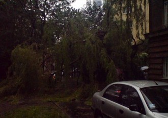 DSC00976.jpg