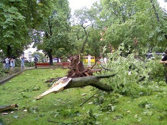 PIC-0062.jpg