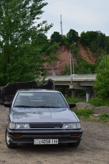 DSC_8987.длд.jpg