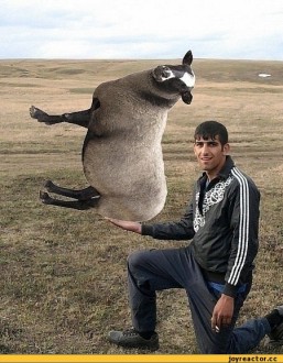 мастер-фотошопа-песочница-120159.jpeg