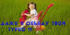 2a231465.jpg