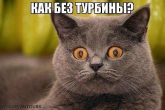 kofevF7Aef4.jpg