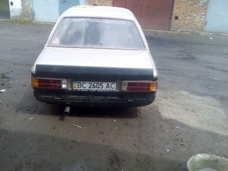 219.jpg