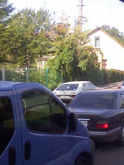 IMG10529.jpg