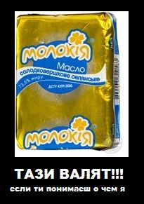 tazy.jpg