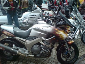 DSC00665.JPG