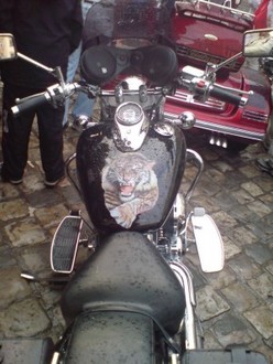 DSC00747.JPG