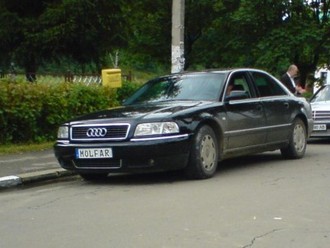 DSC00097.jpg
