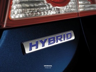 Hybrid_large_007.jpg
