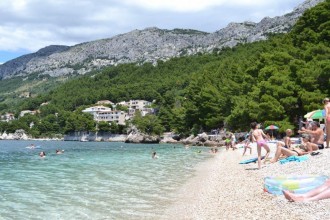DSC_0172.jpg