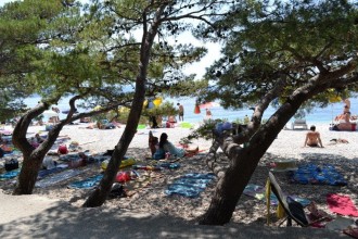 DSC_0420.jpg