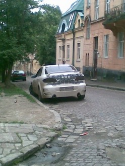 266.jpg