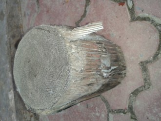 кат1.jpg