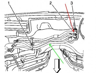111.jpg