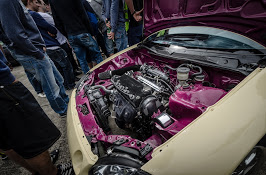 DSC_0737.jpg