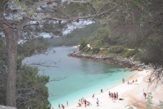 DSC_0323.JPG