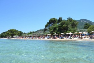DSC_0389.jpg