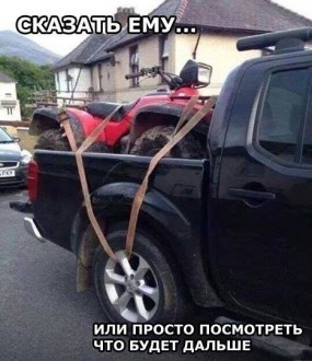 йолоп.jpg