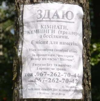 foto.JPG